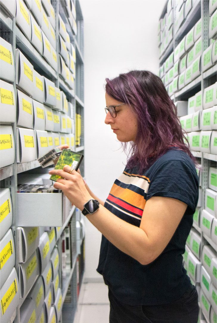 Foto der Archivmitarberin Lena Kühn bei der Arbeit zwischen den Rollregalen im Magazin