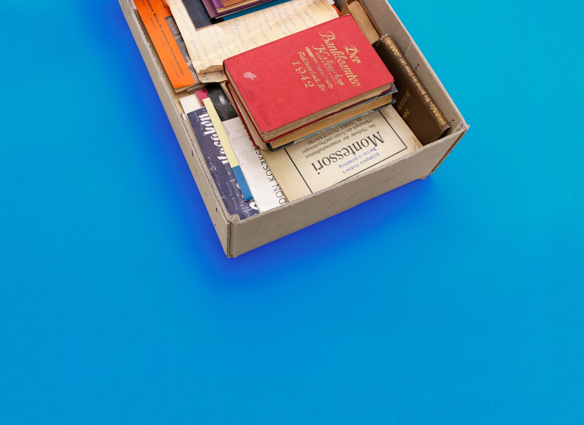 Geöffnete Archivkise mit Büchern, Broschüren und Dokumenten